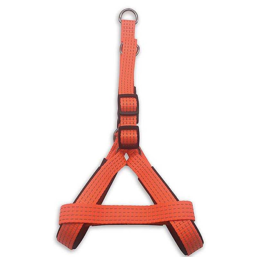 Perros ARQUIVET Arneses Para Perros | Arn S Naranja - 2,5 X 55-75 Cm