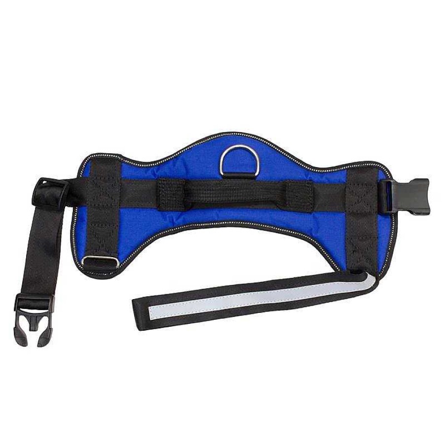 Perros ARQUIVET Arneses Para Perros | Arnes Acolchado Azul Y Negro / Medidas: Cuello 64 Cm - Pecho 66-73 Cm