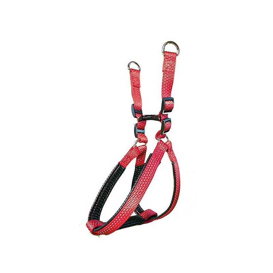 Perros ARQUIVET Arneses Para Perros | Arn S Nylon Liso Rojo - 1,5 X 40-50 Cm