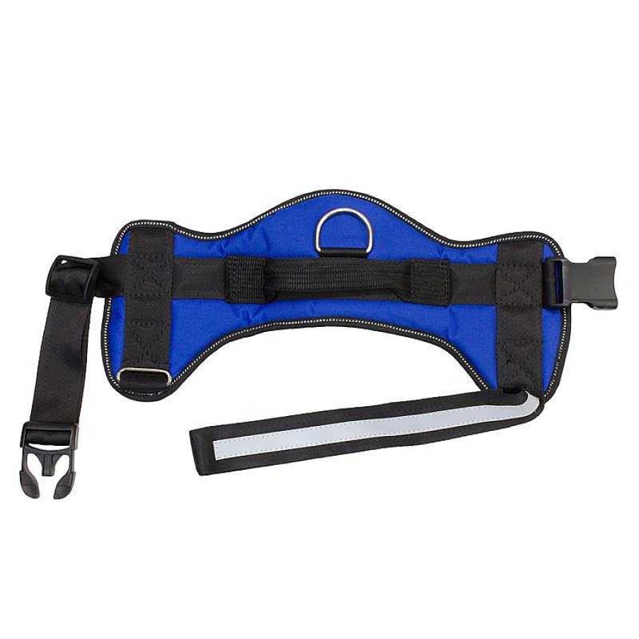 Perros ARQUIVET Arneses Para Perros | Arnes Acolchado Azul Y Negro - Cuello 57 Cm - Pecho 65-70 Cm