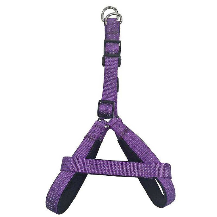 Perros ARQUIVET Arneses Para Perros | Arn S Morado - 2,5 X 55-75 Cm