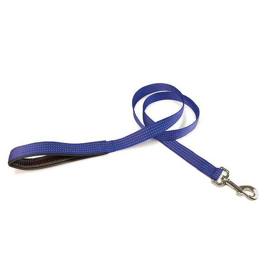 Perros ARQUIVET Correas Para Perros | Correa Nylon Liso Azul - 2,5 X 120 Cm