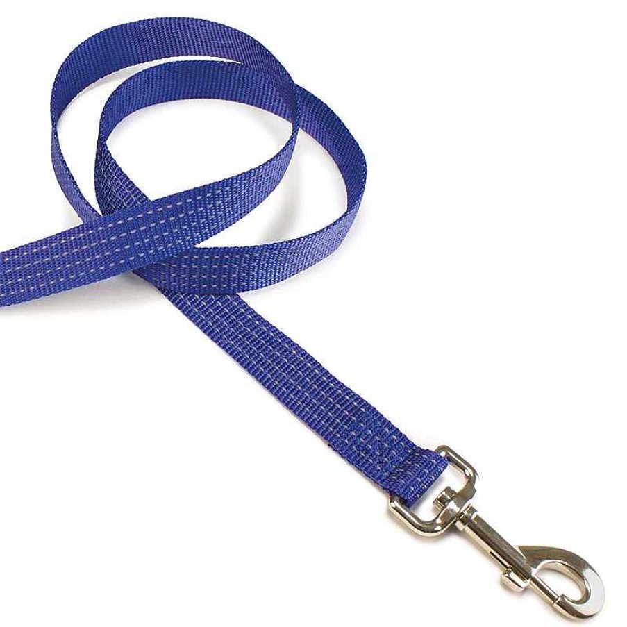 Perros ARQUIVET Correas Para Perros | Correa Nylon Liso Azul - 2,5 X 120 Cm