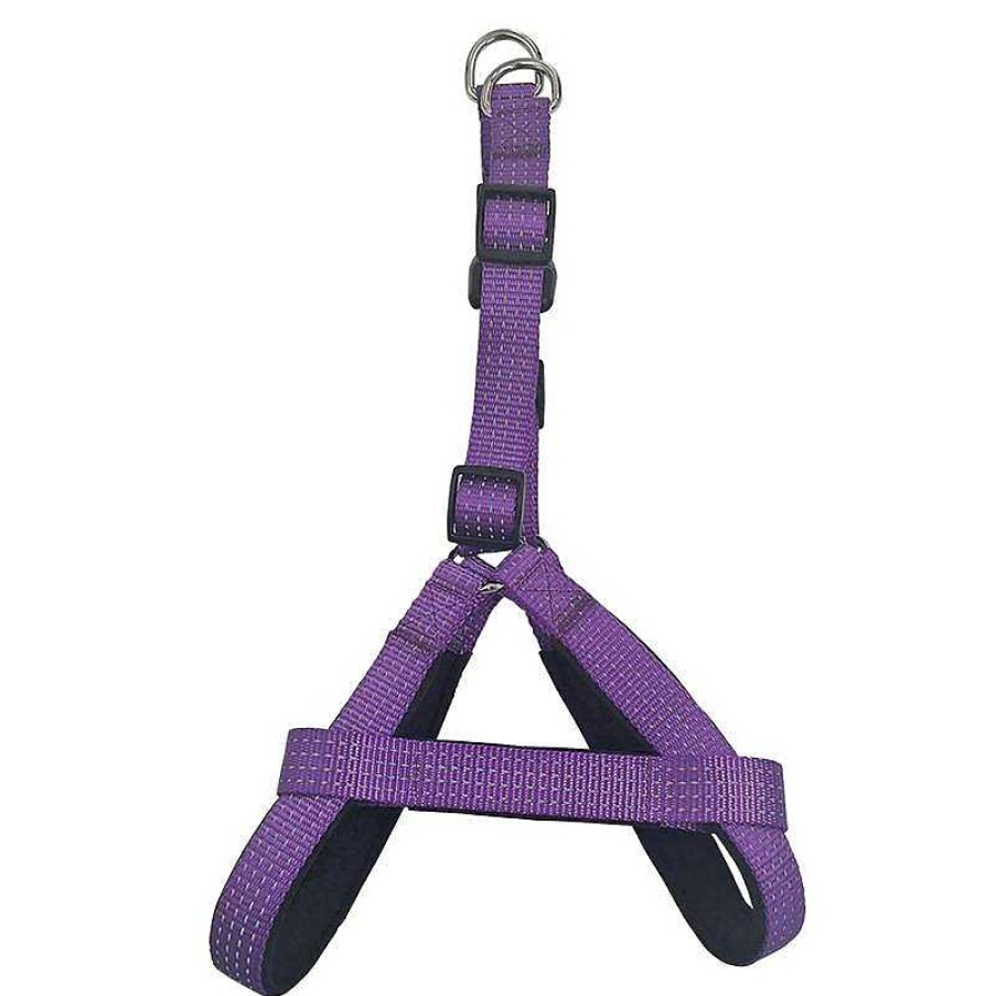 Perros ARQUIVET Arneses Para Perros | Arn S Morado - 1,5 X 40-50 Cm