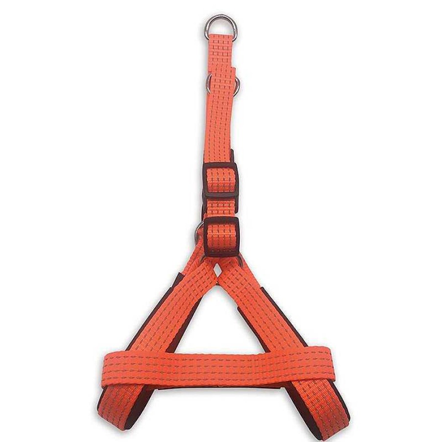 Perros ARQUIVET Arneses Para Perros | Arn S Naranja - 1,5 X 40-50 Cm