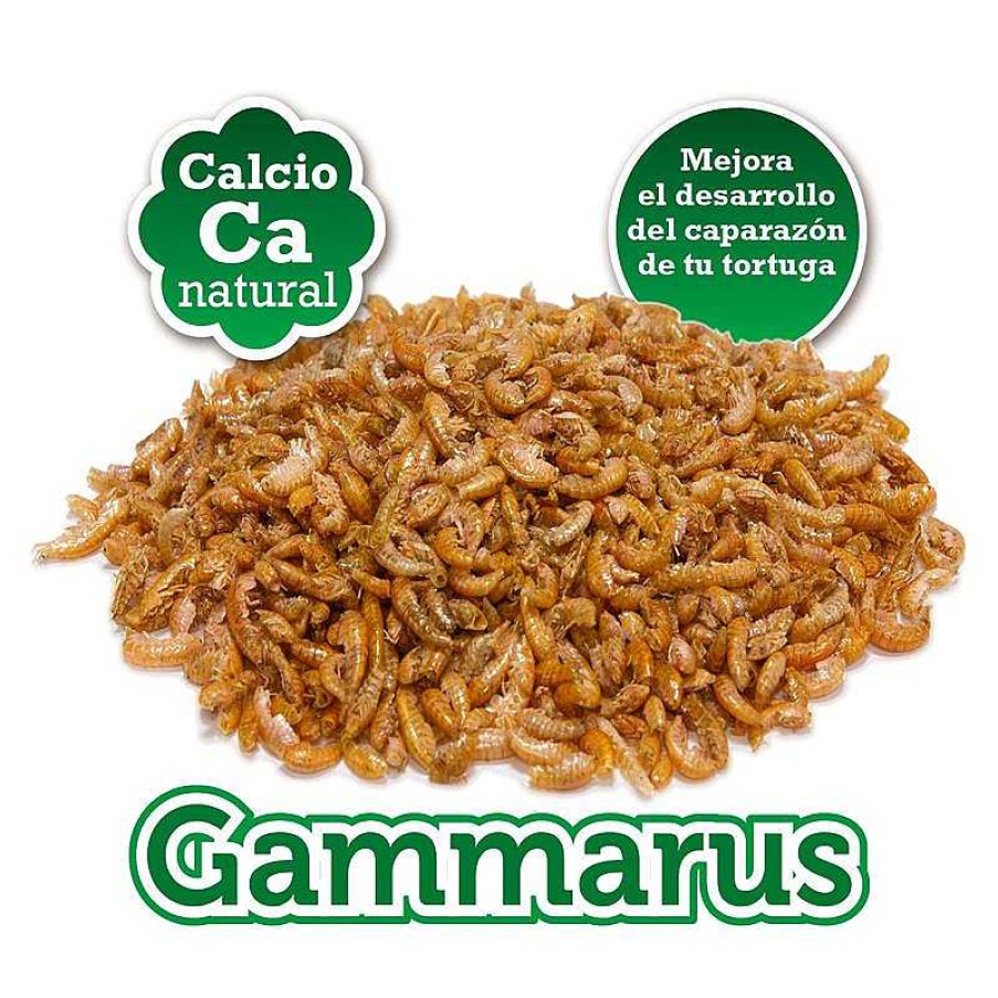 Reptiles ARQUIVET Gammarus Para Tortugas | Gammarus - 105 Ml