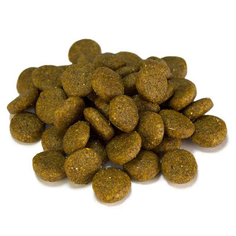 Perros ARQUIVET Piensos Para Perros | Sensitive - Pienso Para Perros Adultos De Todas Las Razas A Partir De Los 12 Meses De Edad - Salm N Y Patata 12 Kg