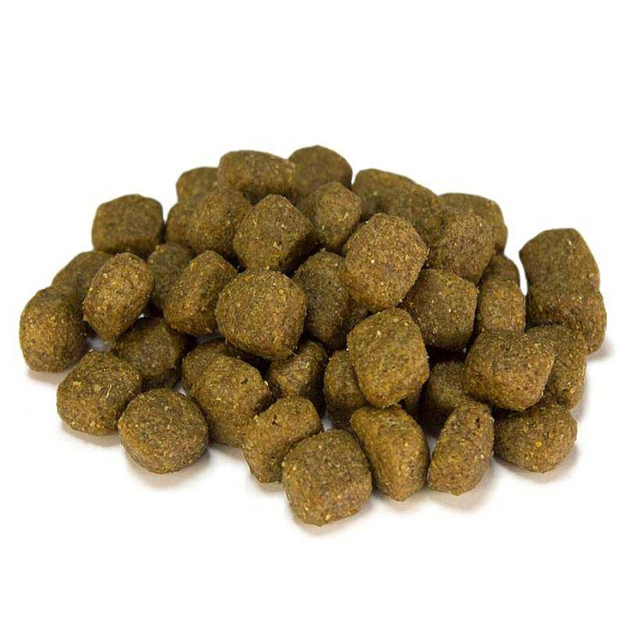 Perros ARQUIVET Piensos Para Perros | Pack 4 Unidades - Adult - Pollo Y Arroz 3 Kg