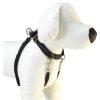 Perros ARQUIVET Petral Para Perros | Petral De Training Xl - 55M/80Cm