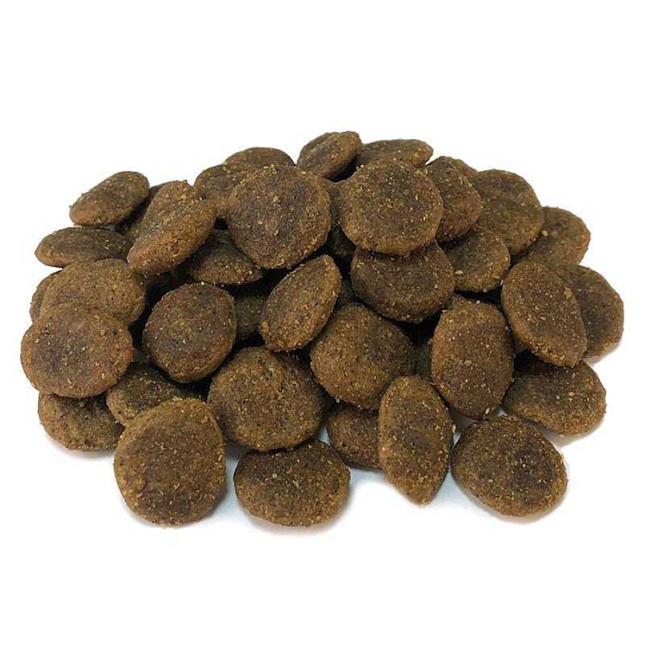 Perros ARQUIVET Grain Free Comida Para Perro | Arquivet-Pienso Para Perros-Grain Free-Adult-Pavo-12 Kg