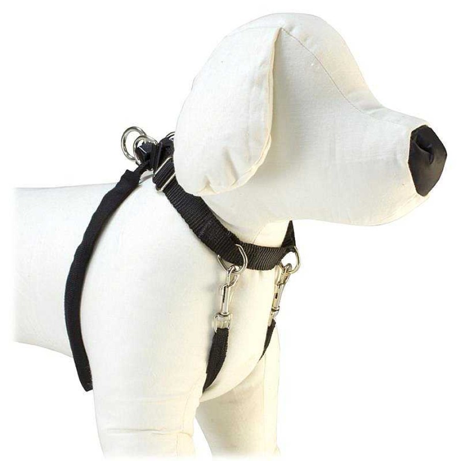 Perros ARQUIVET Petral Para Perros | Petral De Training L - 40M/60Cm