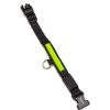 Perros ARQUIVET Collares Para Perros | Collar Luminoso Led Amarillo - Talla M 38-50Cm/2,5Cm