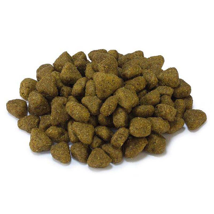 Gatos ARQUIVET Pienso Para Gatos | Pack 8 Bolsas Arquivet Sterilized 350 Gr - Pienso Carne Fresca De Pavo Para Gatos Esterilizados - Alimentaci N Natural