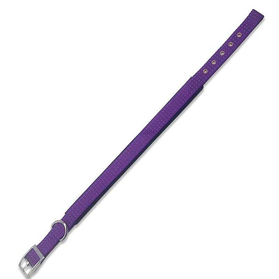 Perros ARQUIVET Collares Para Perros | Collar Nylon Morado - 1,5 X 38 Cm