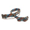 Perros ARQUIVET Collares Para Perros | Collar Para Perro Piemonte Azul M (36-58Cm)