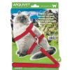 Gatos ARQUIVET Arn S Para Gatos | Petral Y Correa Classic