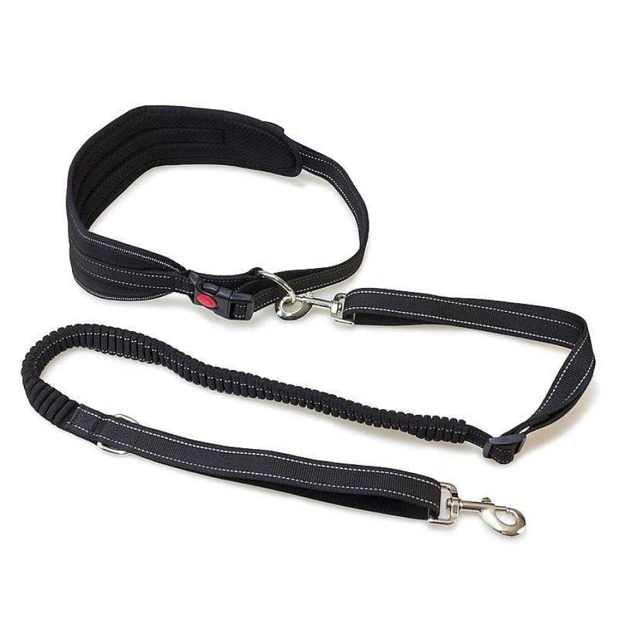 Perros ARQUIVET Correas Para Perros | Cintur N Con Correa Canicross M (1,20-1,50M/25Mm)