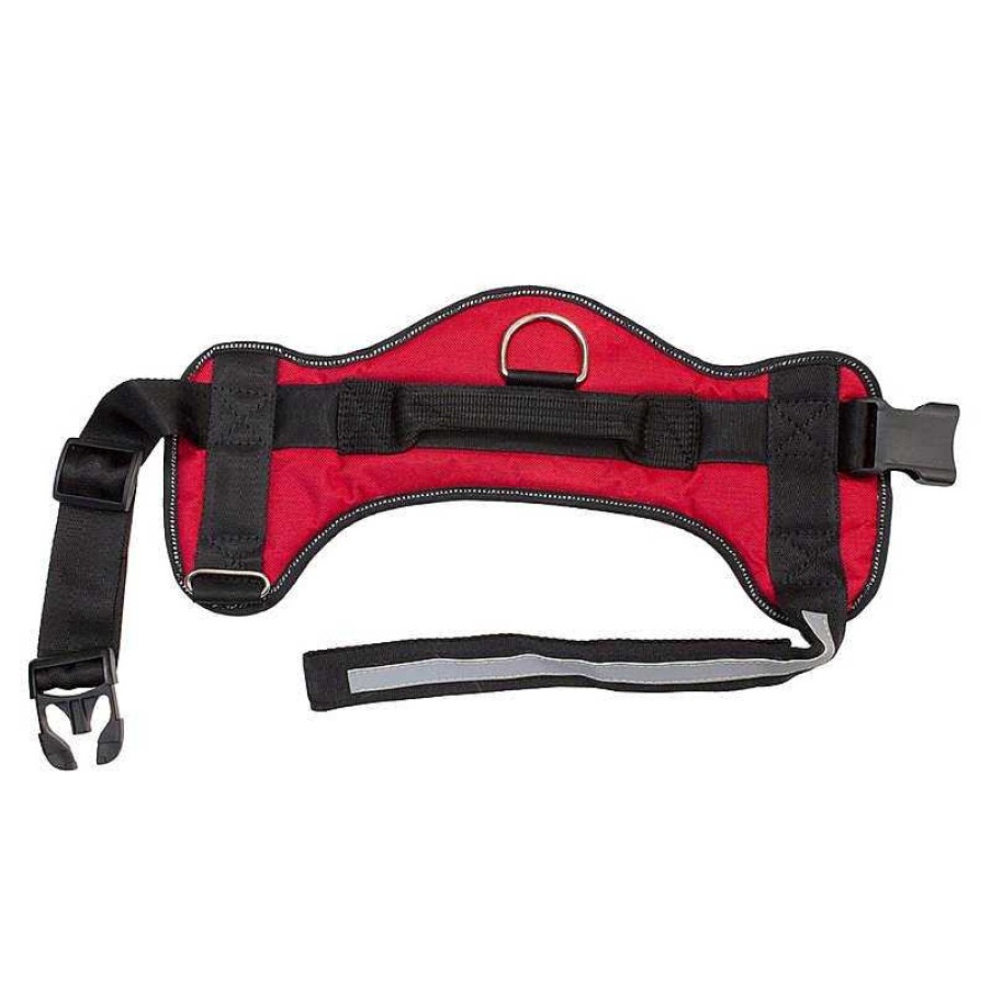 Perros ARQUIVET Arneses Para Perros | Arnes Acolchado Rojo Y Negro / Medidas: Cuello 69 Cm - Pecho 67-75 Cm