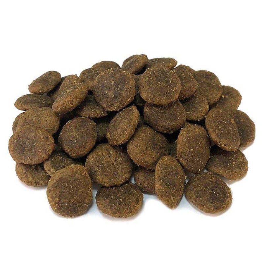 Perros ARQUIVET Grain Free Comida Para Perro | Arquivet-Pienso Para Perros-Grain Free-Adult-Pavo-2 Kg